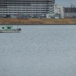 ボラニング⁇ボニング⁇シーバスだよ‼